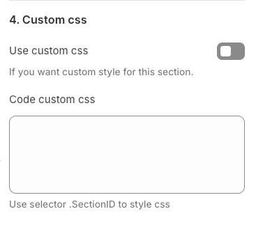 custom CSS.png
