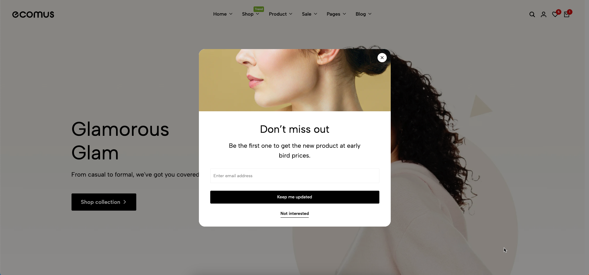 newsletter popup .png
